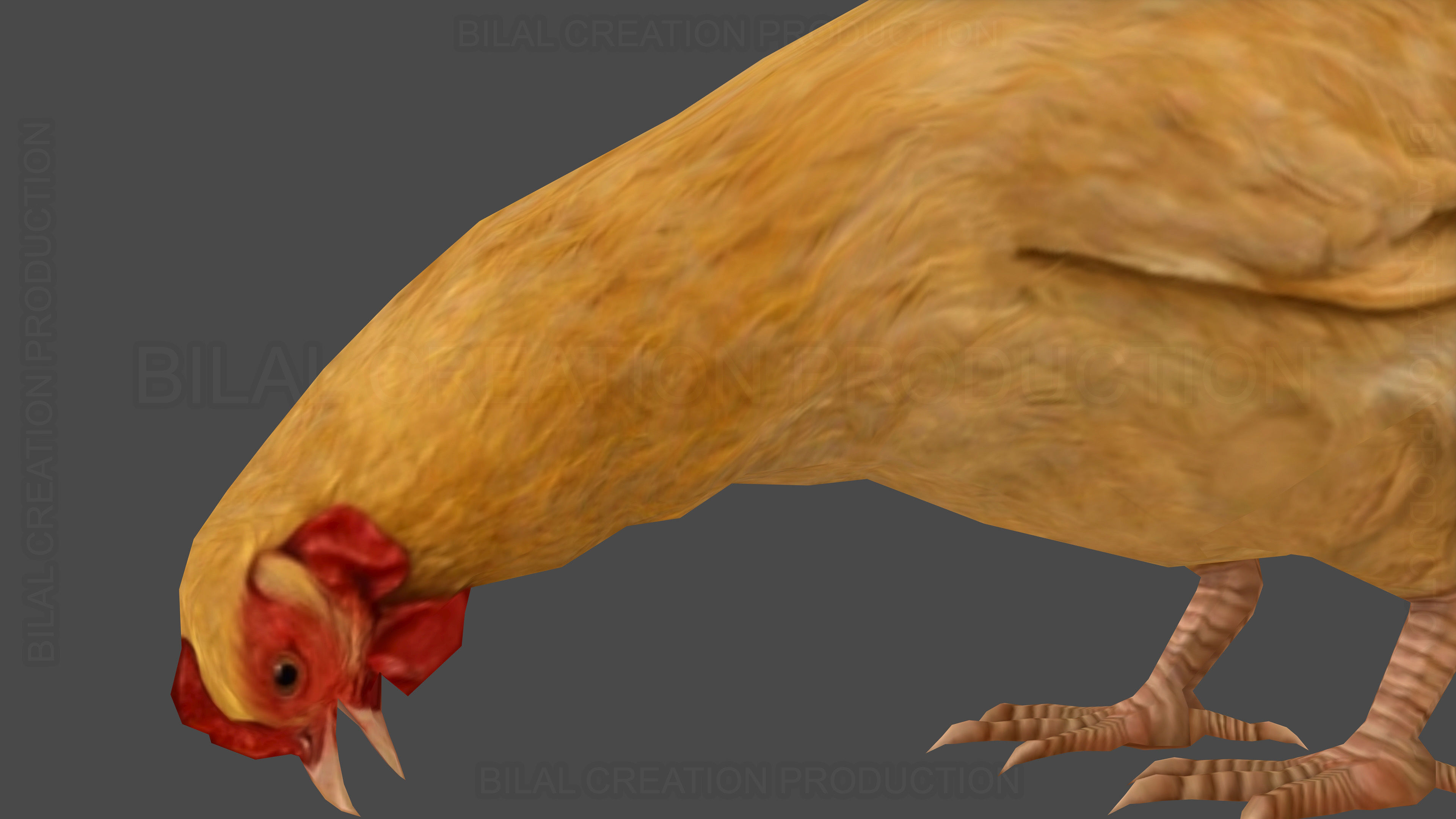 Hen chicken Animated Low-poly 3D model_12