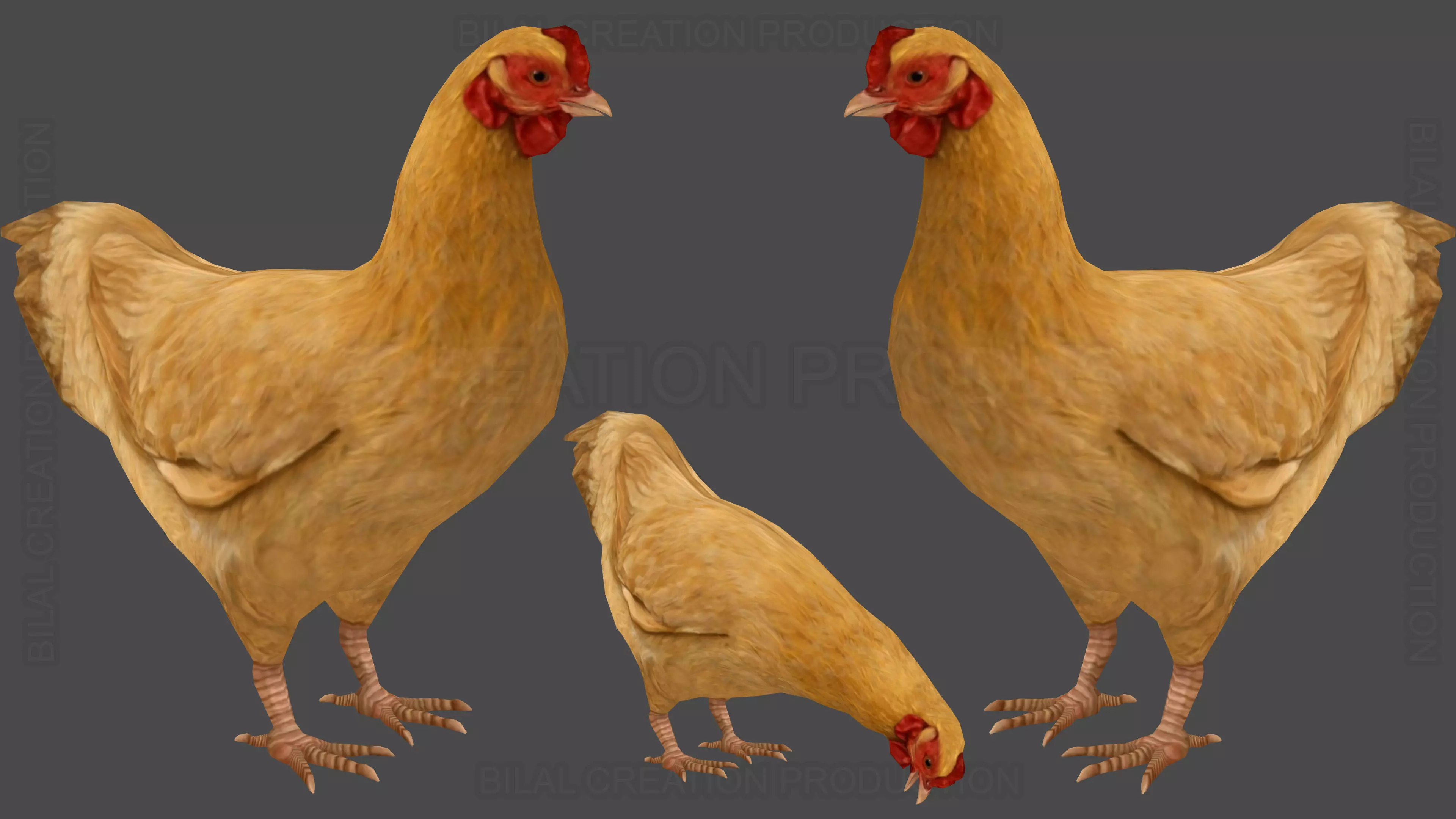 Hen chicken Animated Low-poly 3D model_0