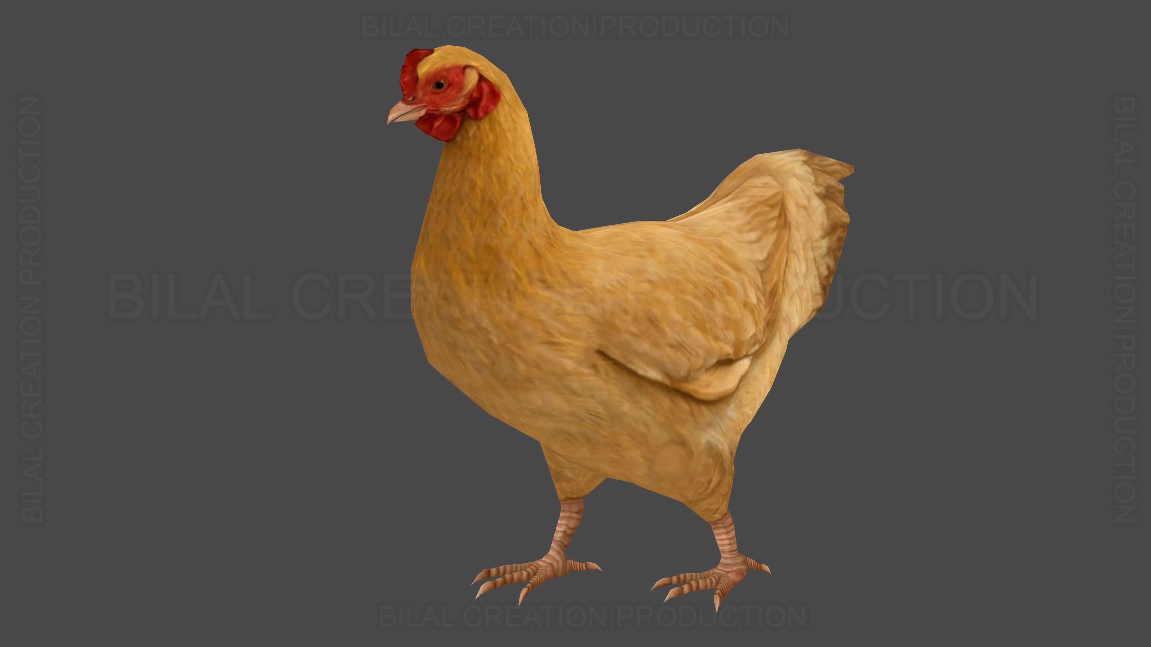 Hen chicken Animated Low-poly 3D model_4