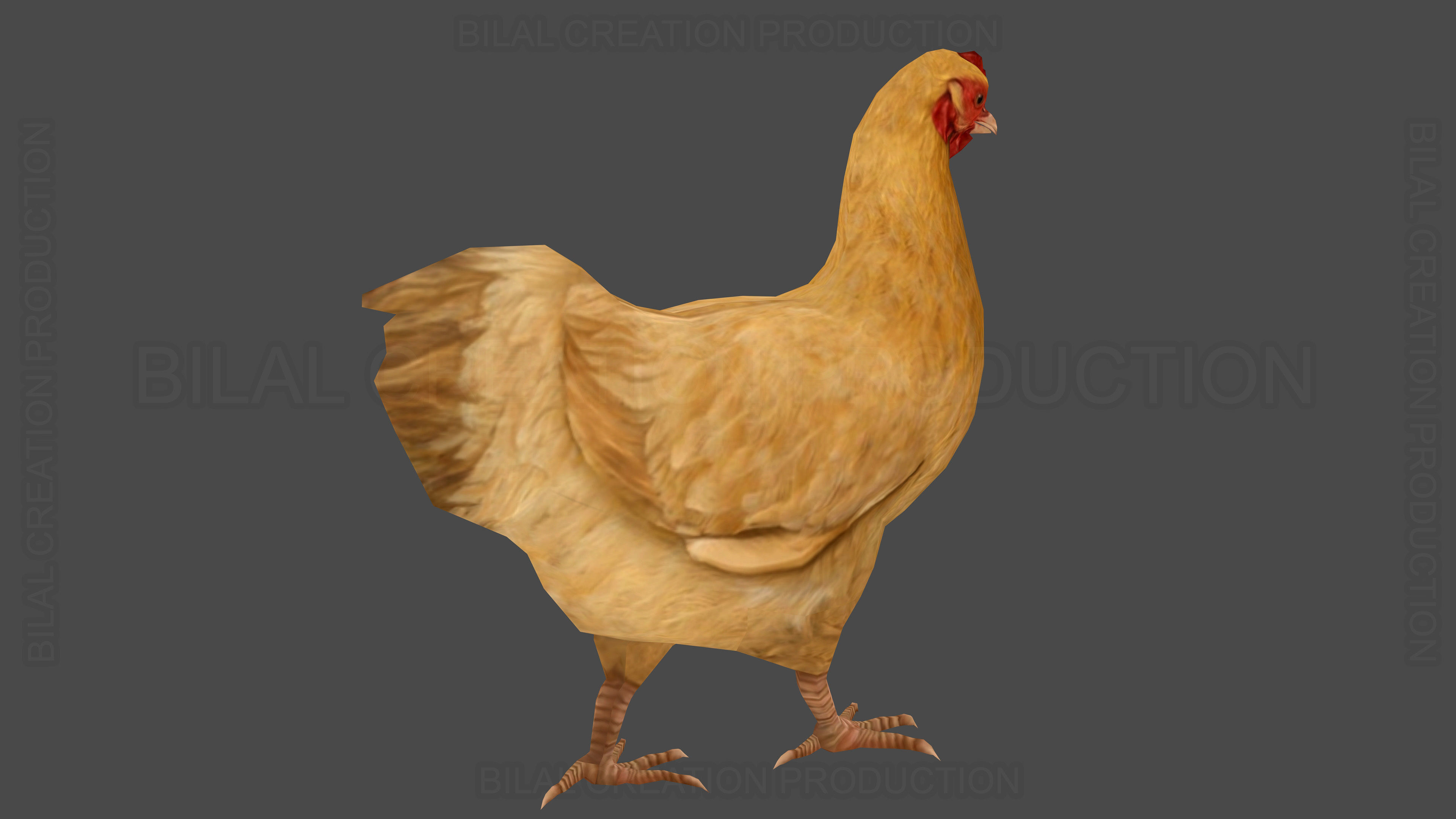 Hen chicken Animated Low-poly 3D model_7