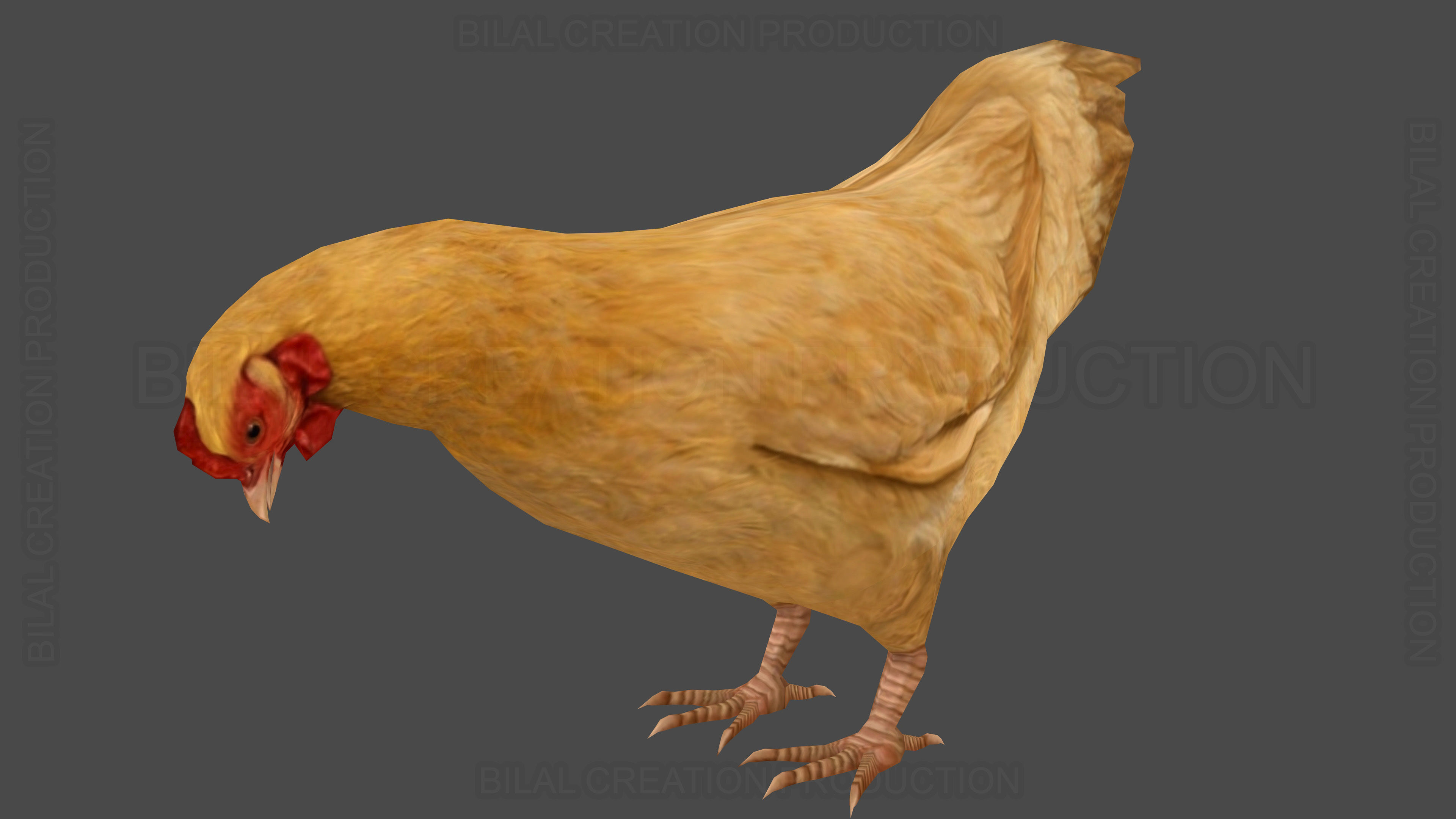 Hen chicken Animated Low-poly 3D model_2