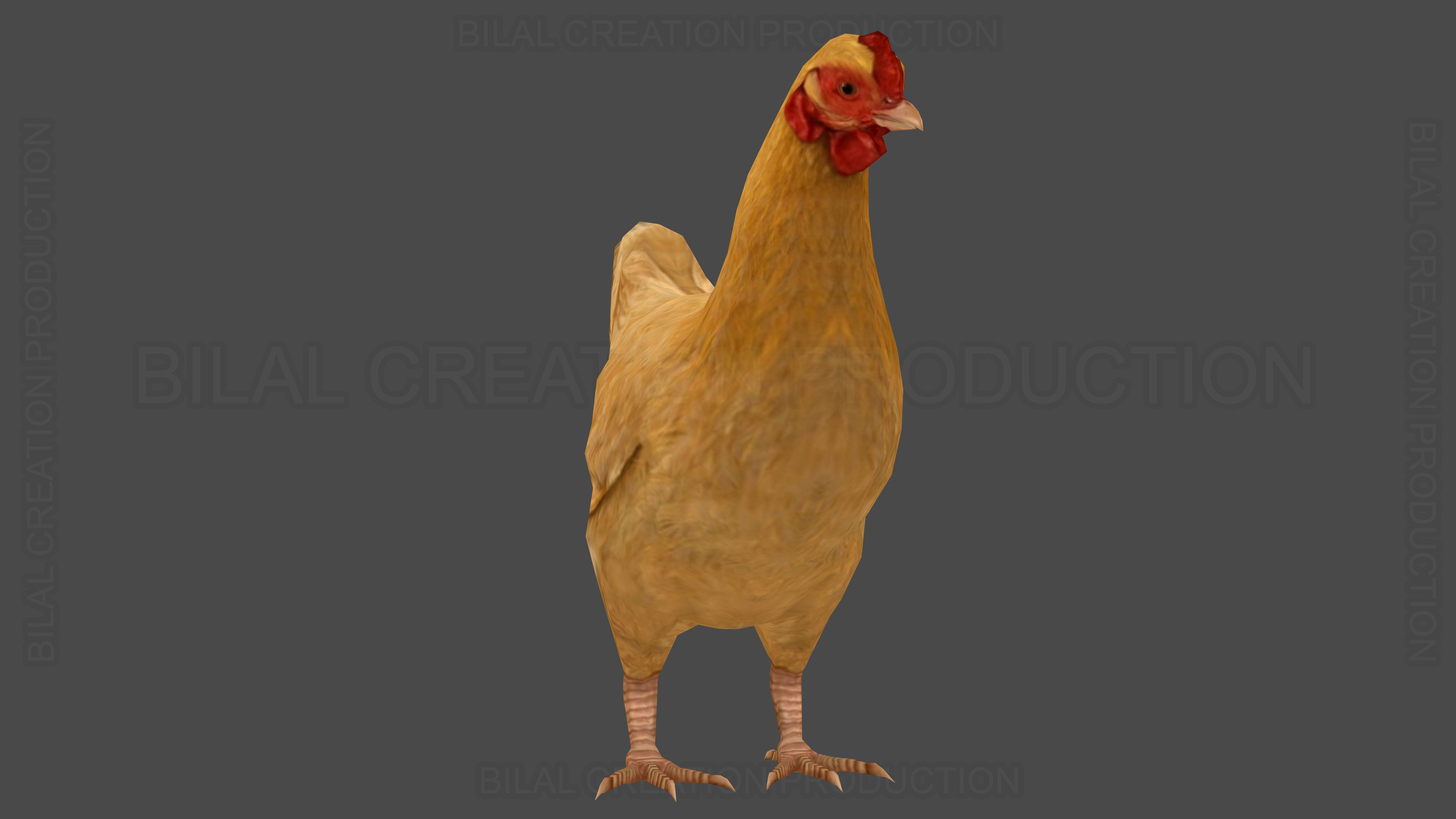 Hen chicken Animated Low-poly 3D model_8