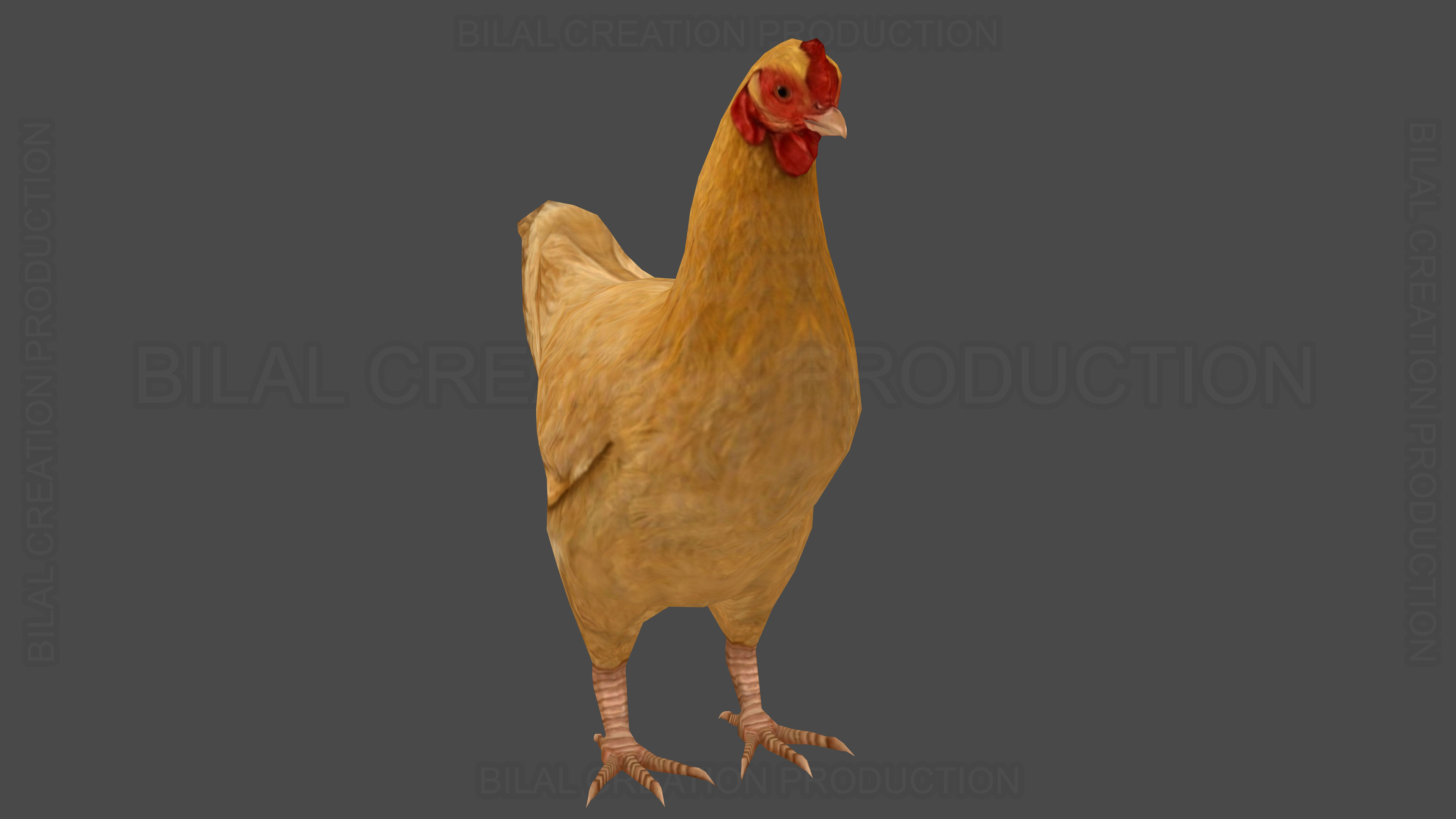 Hen chicken Animated Low-poly 3D model_3