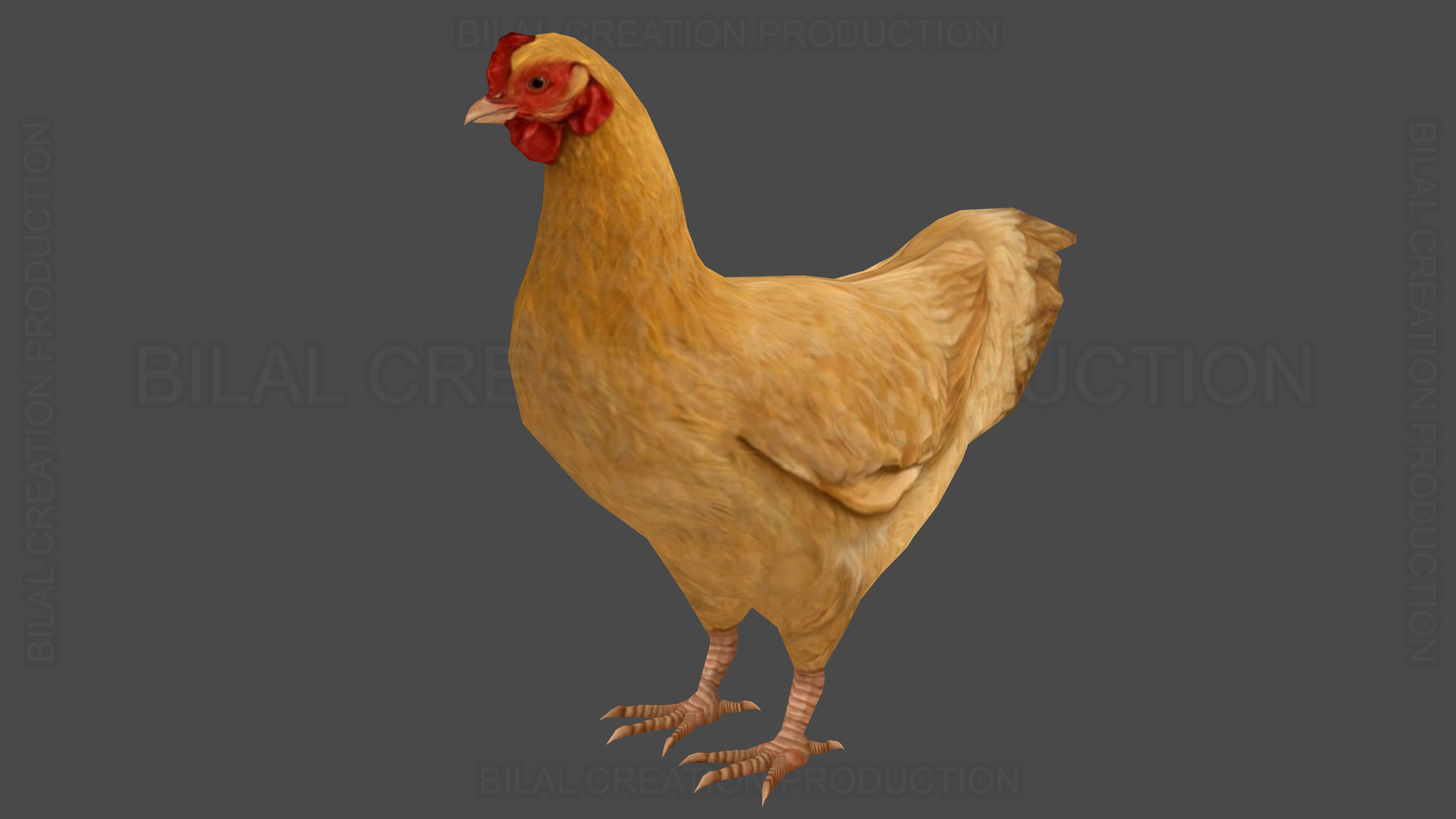 Hen chicken Animated Low-poly 3D model_6