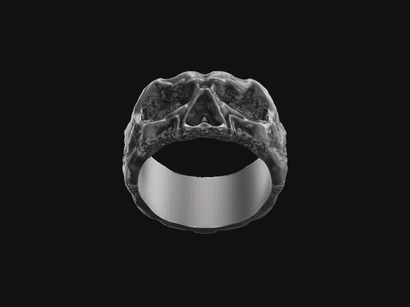 Ring stone skull 3d model for 3d printing 3D print model 3D print model_14