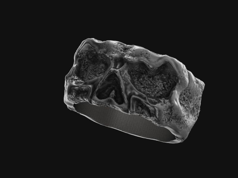 Ring stone skull 3d model for 3d printing 3D print model 3D print model_9