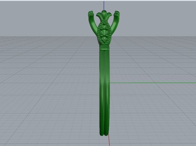 Ring Model 1445 3D print model_8