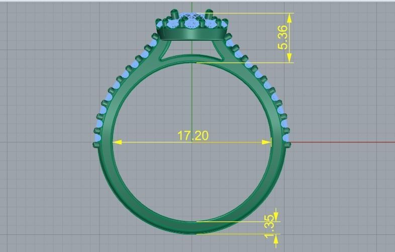 Ring Model 1449 3D print model_4