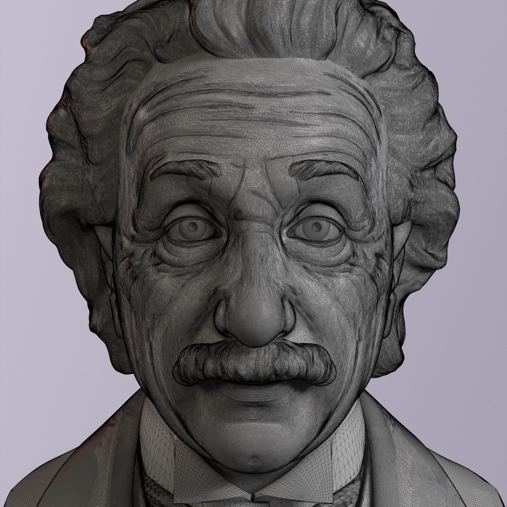 Albert Einstein 3D print model_5