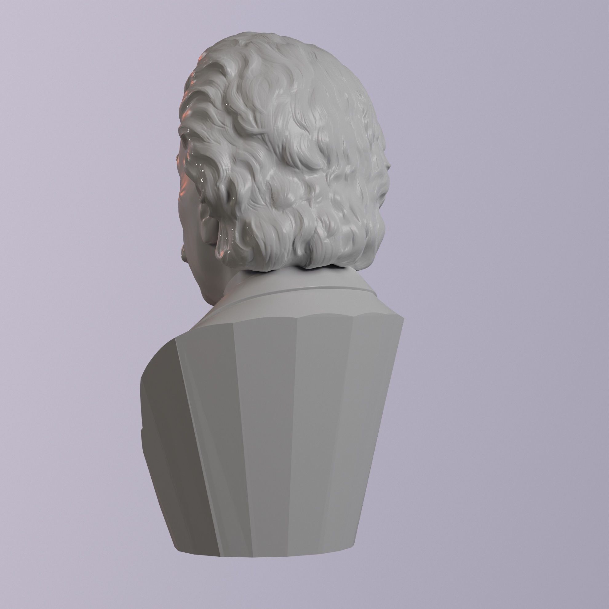 Albert Einstein 3D print model_4