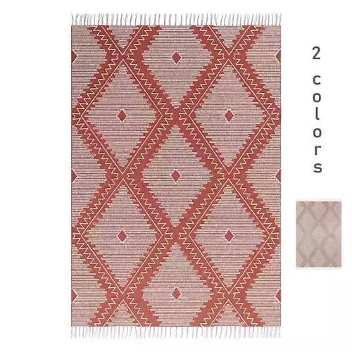 Tierra Natural Rug 3D model