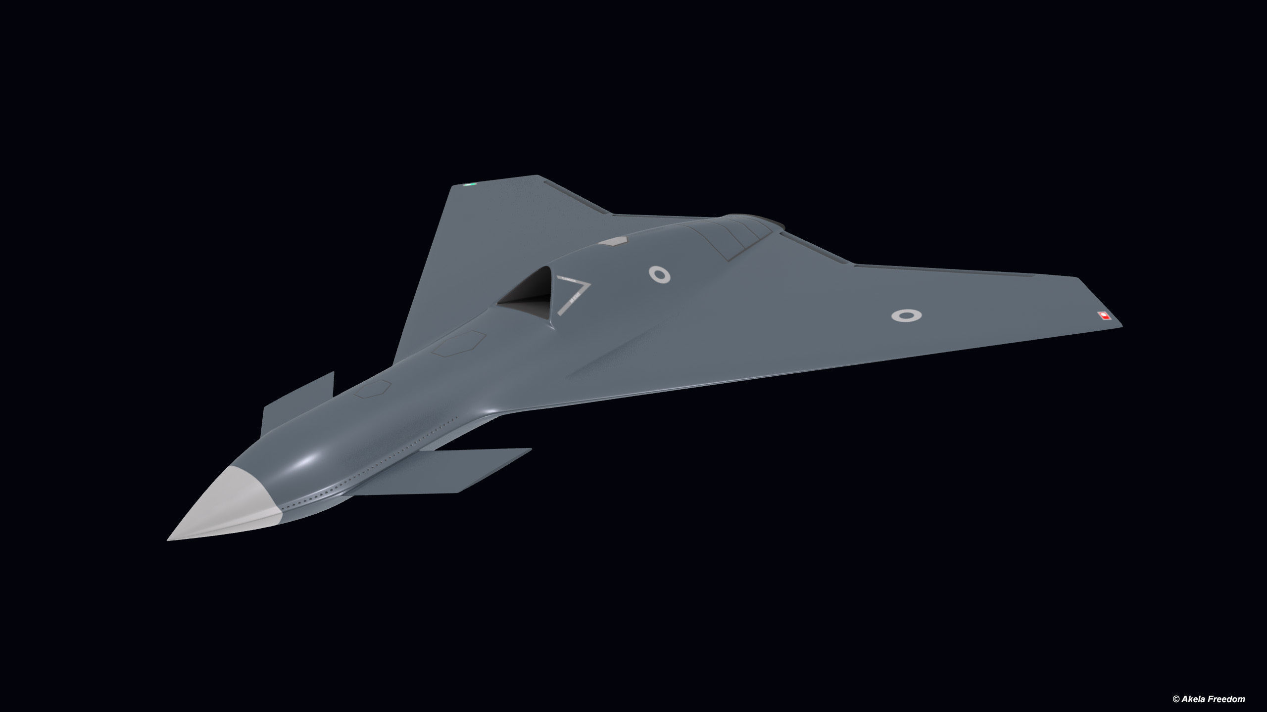 UCAV Concept 3D model_6