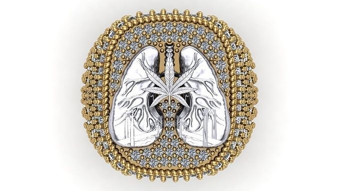 Lungs ring 3D print model