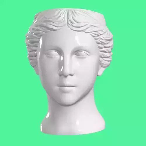 Flower vase venus head