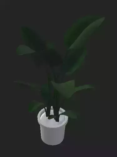 plant fbx in pot