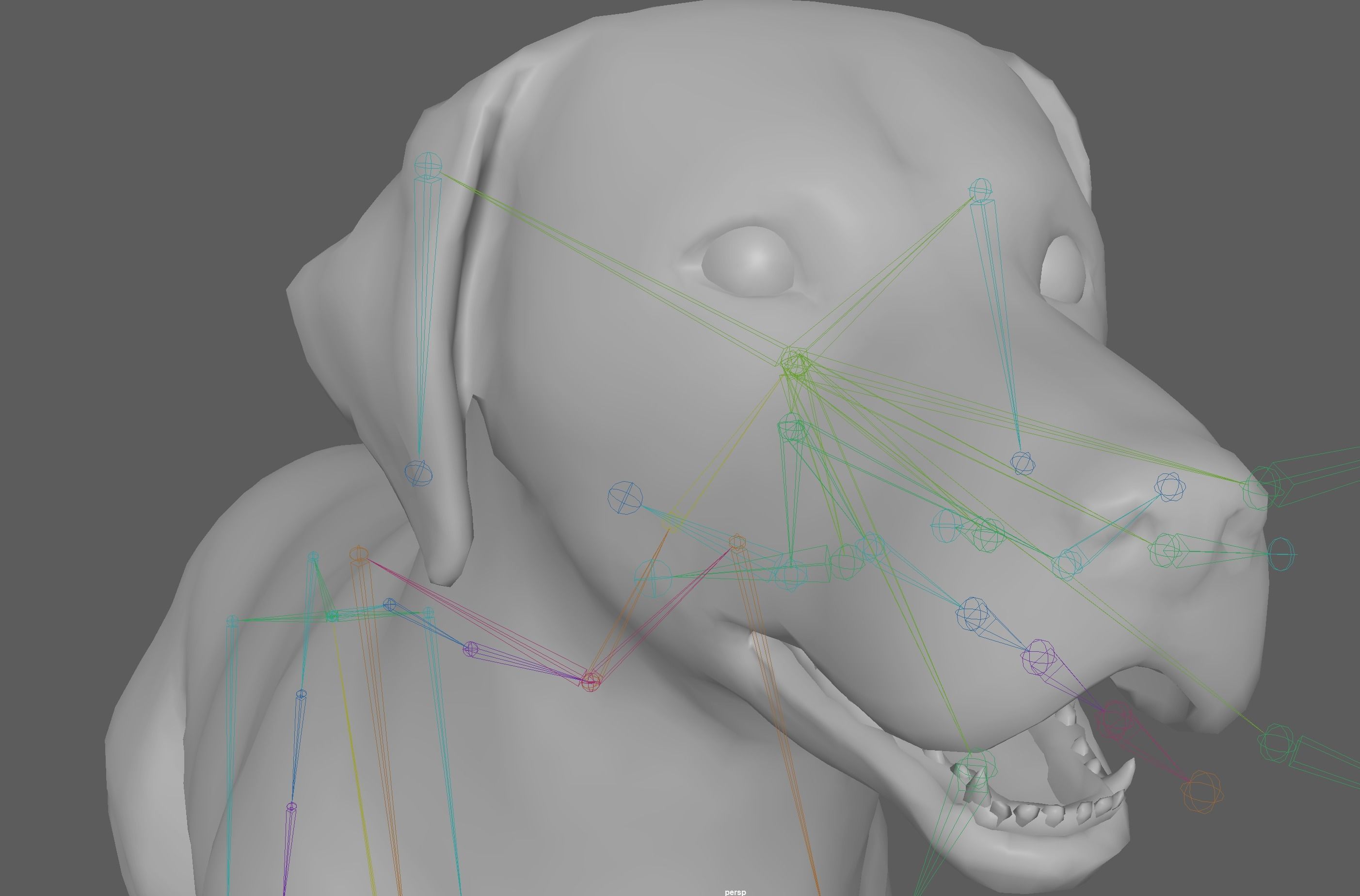 Labrador Retriever Dog 3D model_14