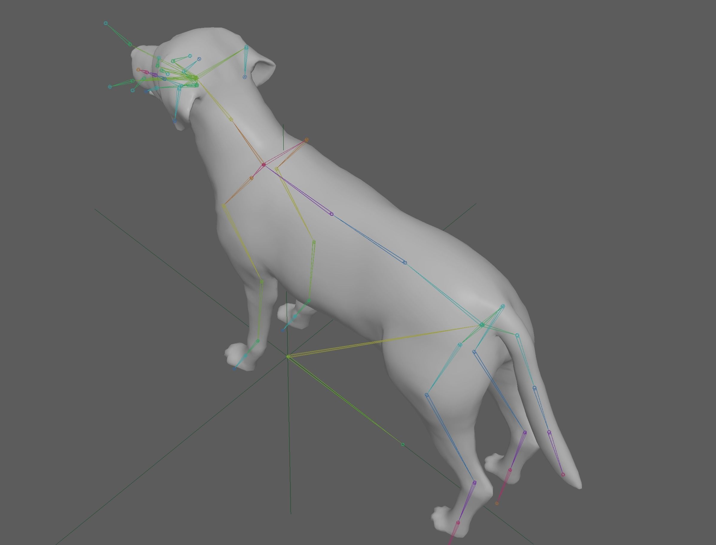 Labrador Retriever Dog 3D model_10