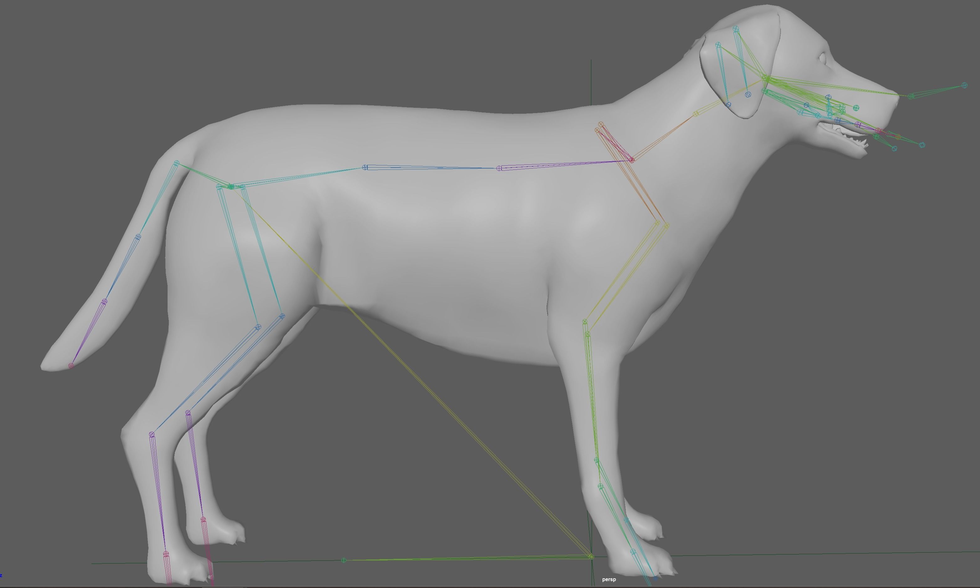 Labrador Retriever Dog 3D model_13
