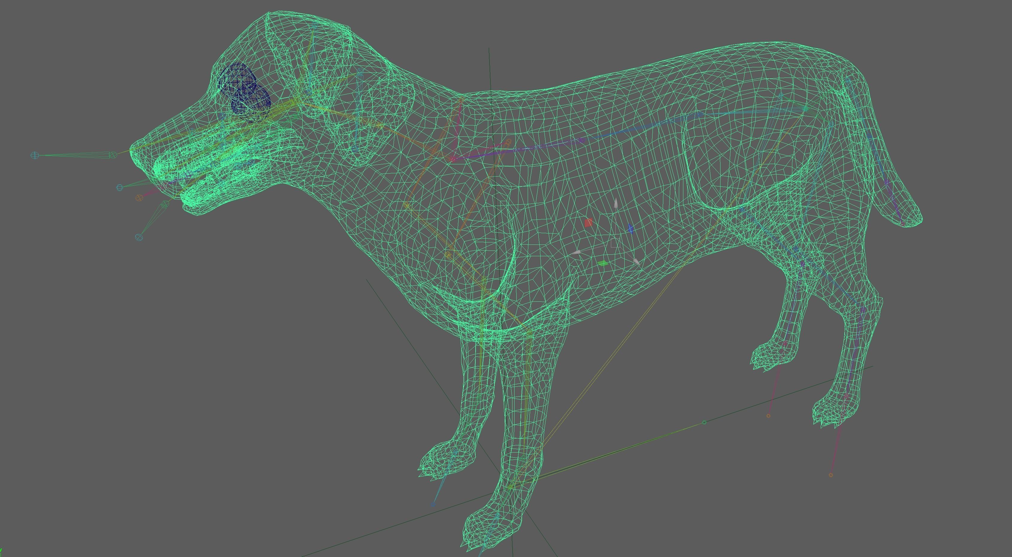 Labrador Retriever Dog 3D model_21