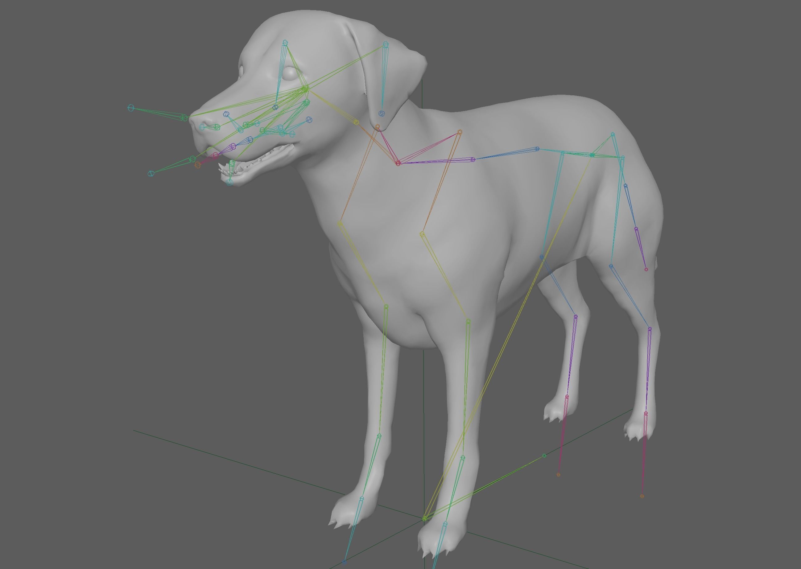 Labrador Retriever Dog 3D model_11