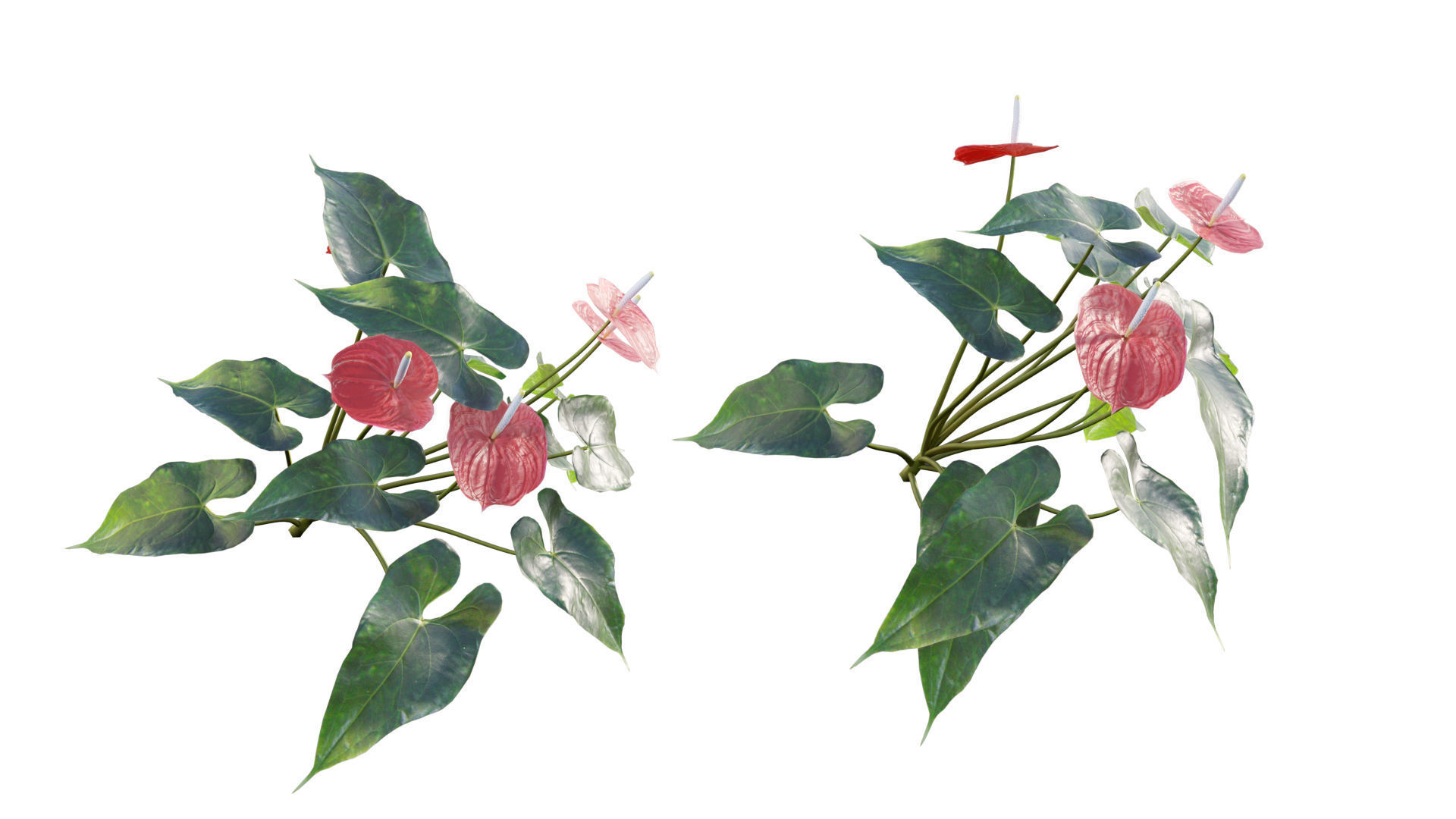 Vertical garden 23 3D model_1