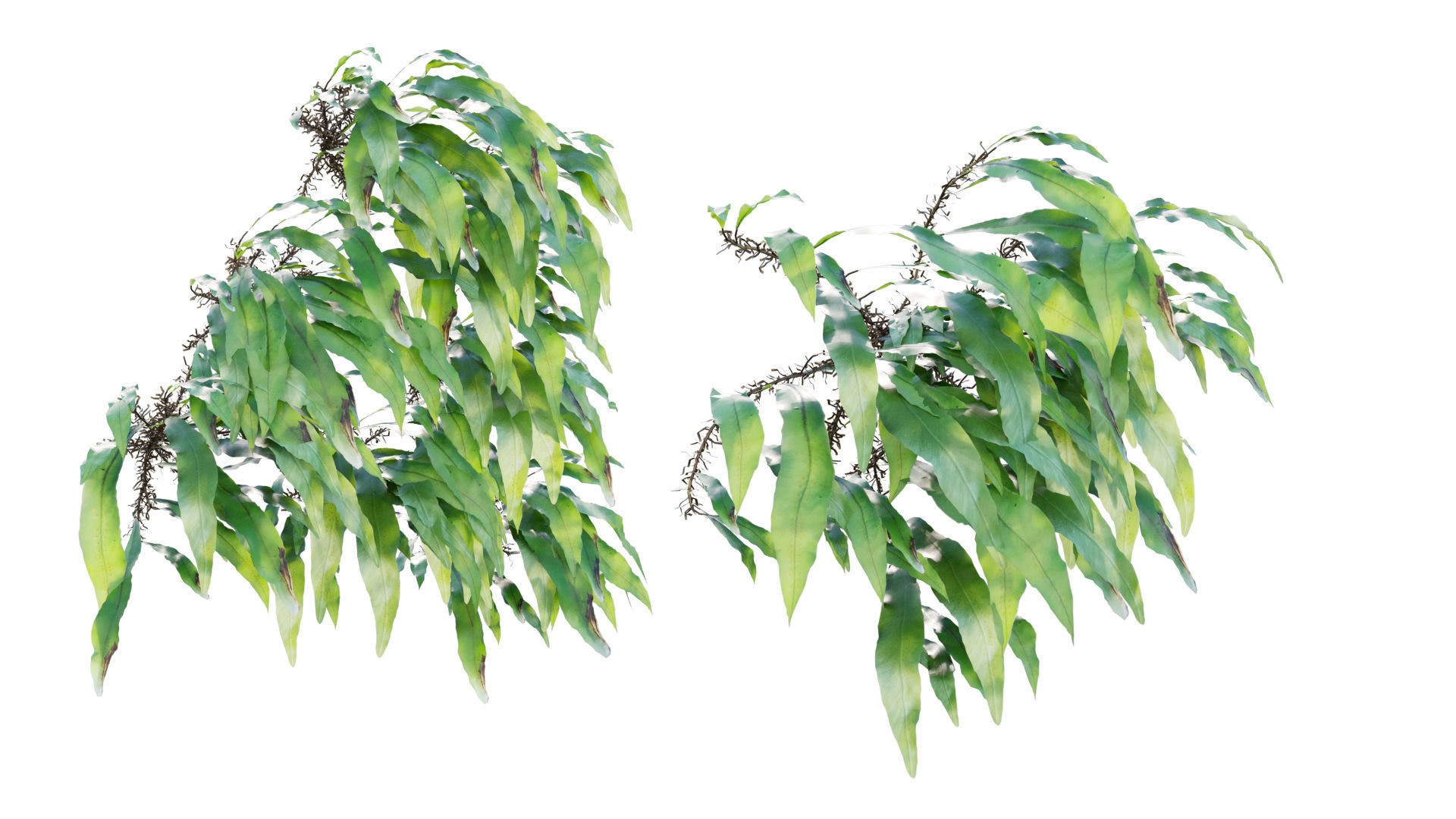 Vertical garden 23 3D model_2