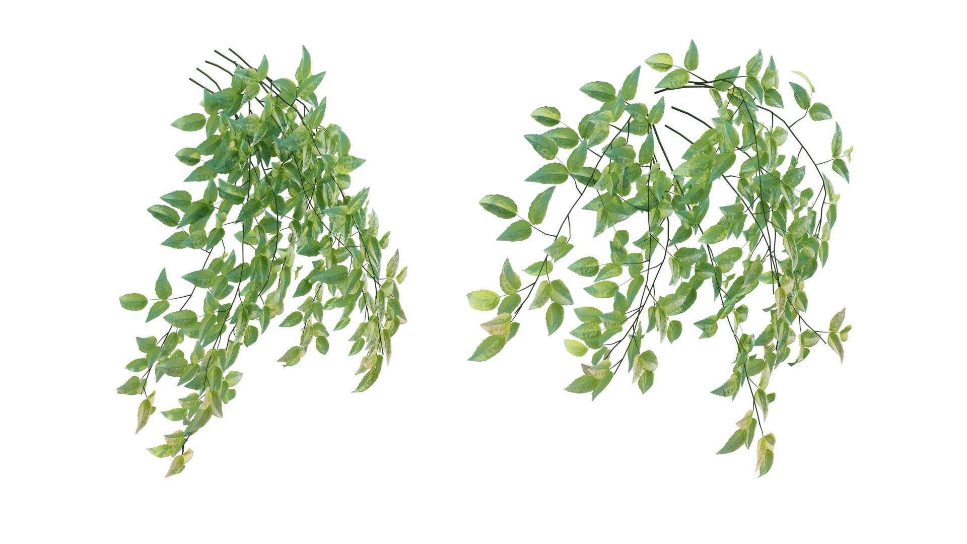 Vertical garden 23 3D model_4