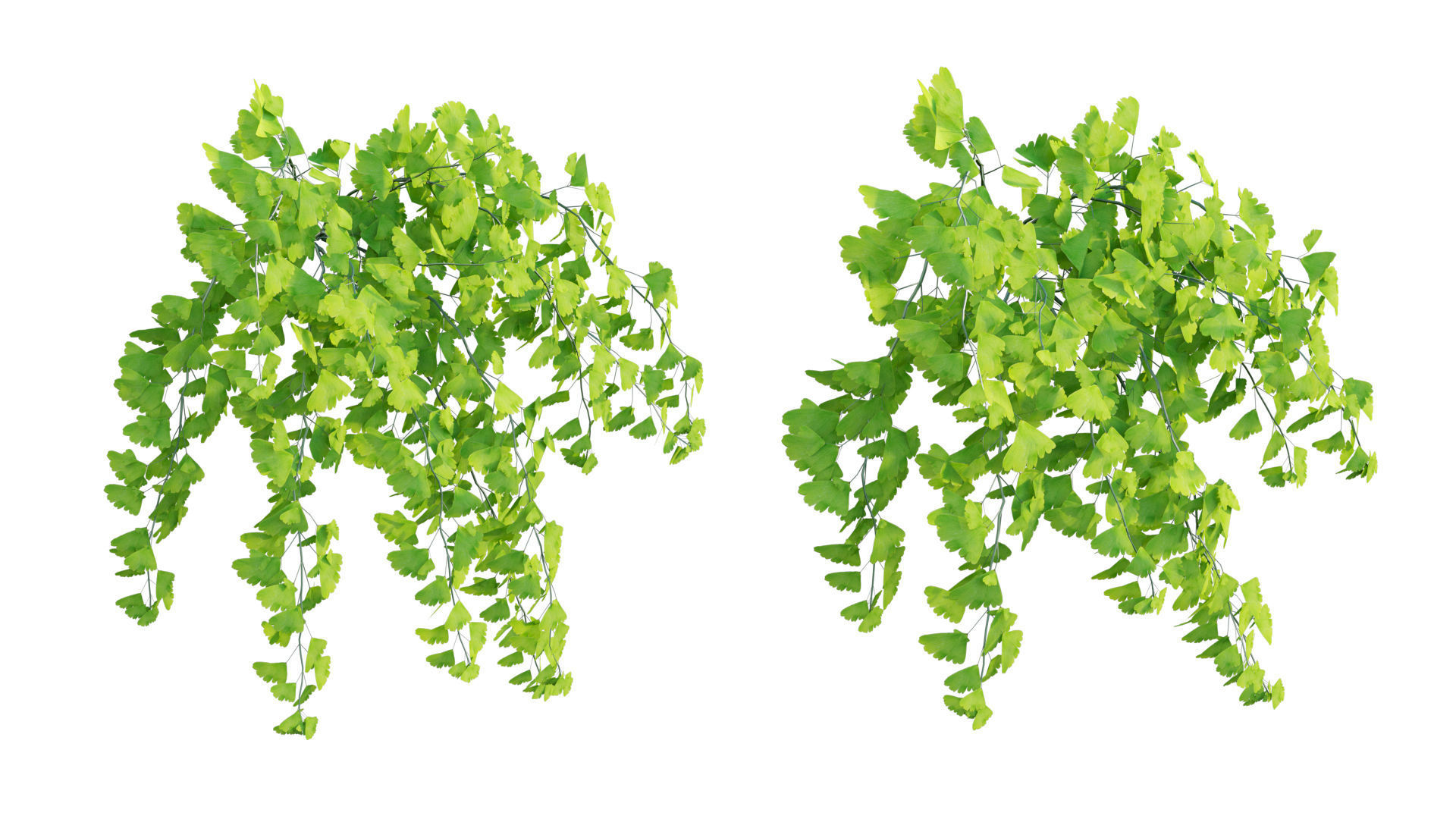 Vertical garden 22 3D model_1