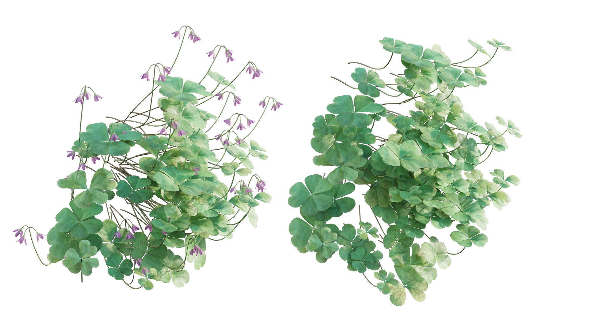 Vertical garden 22 3D model_4