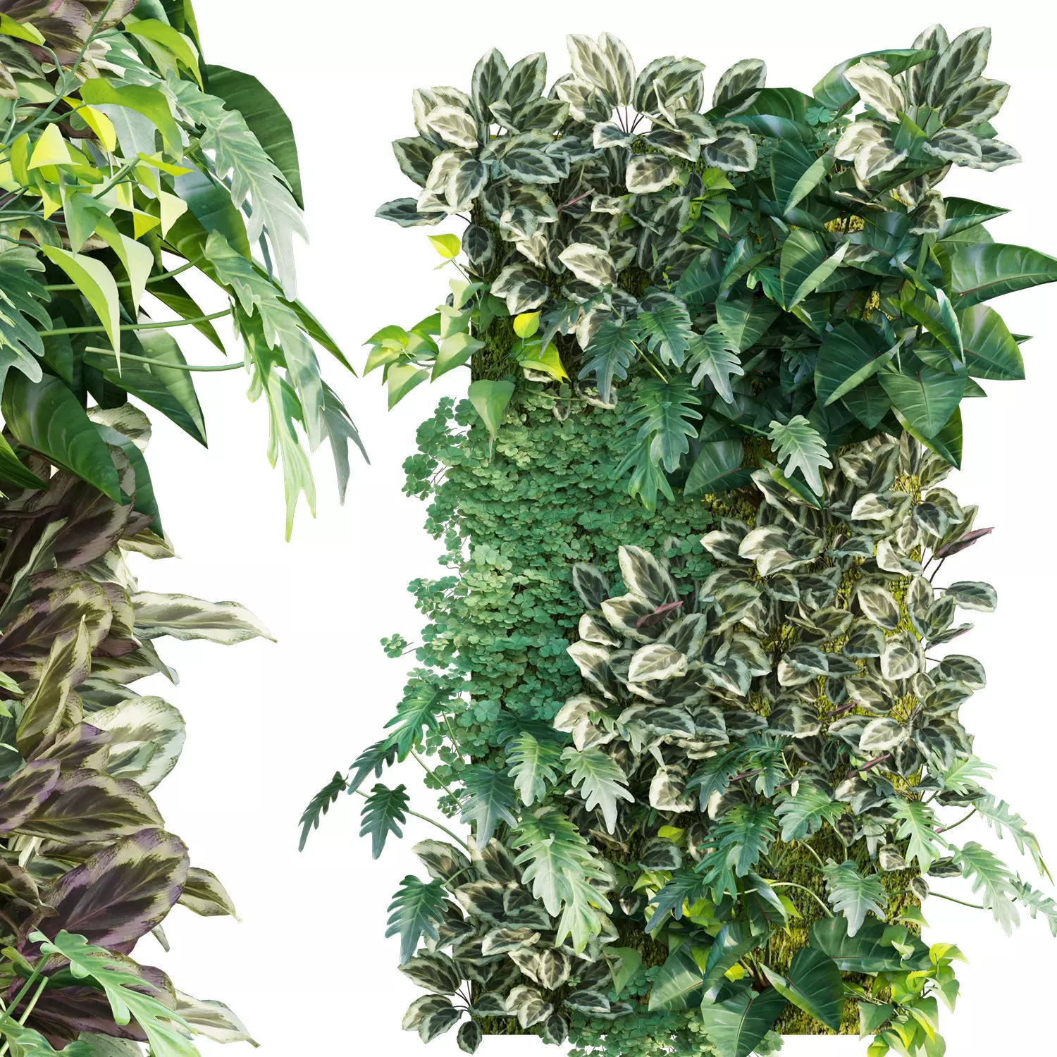 Vertical garden 21 3D model_0