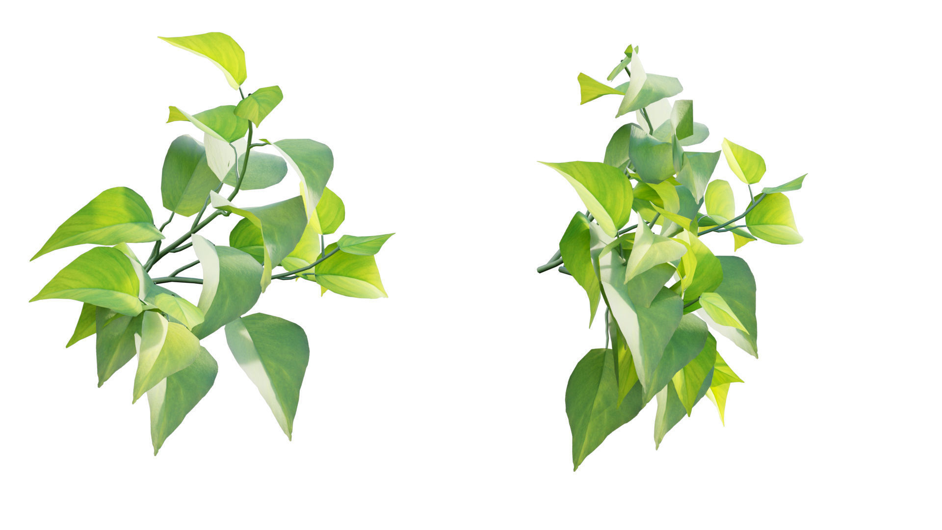 Vertical garden 21 3D model_2