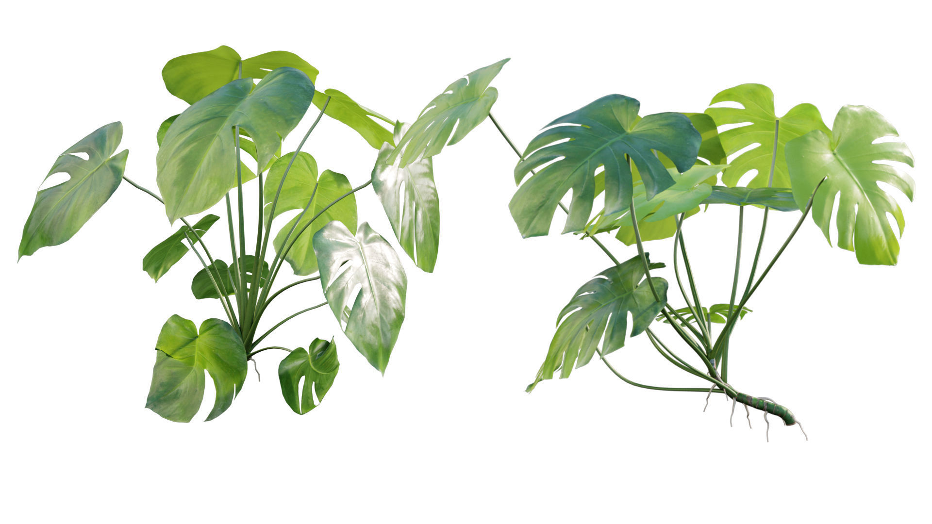 Vertical garden 18 3D model_2