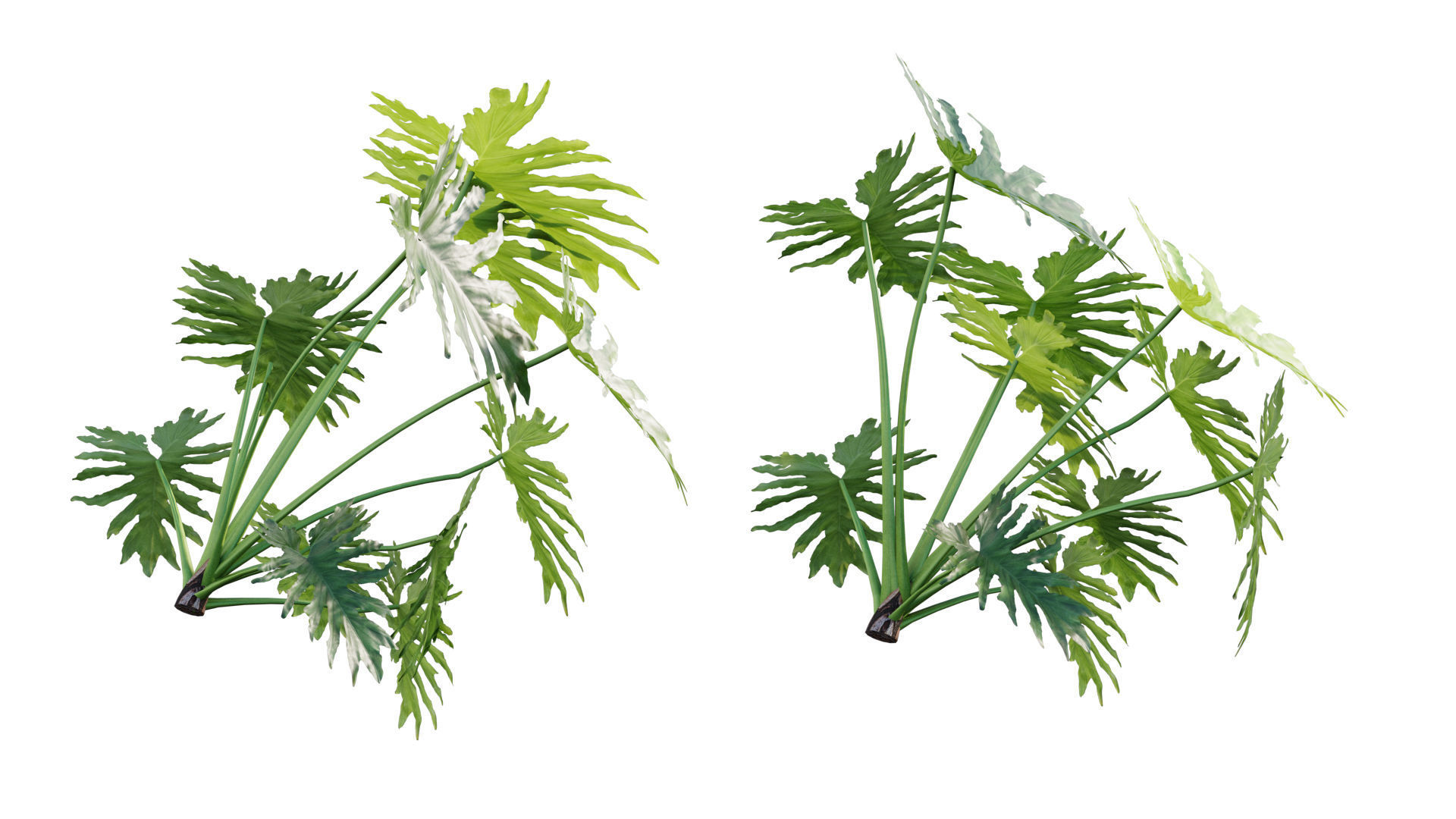 Vertical garden 14 3D model_2