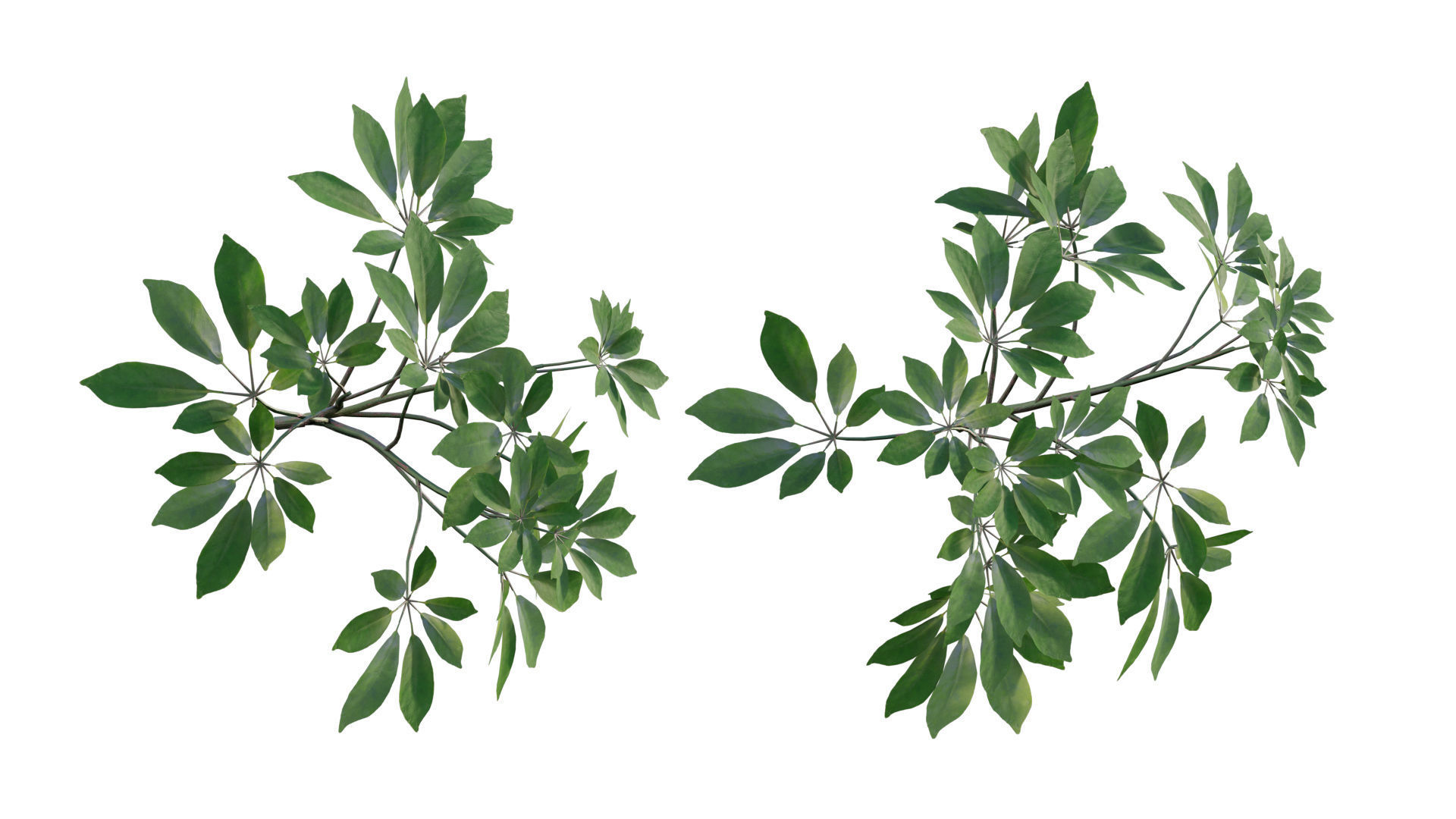 Vertical garden 14 3D model_4