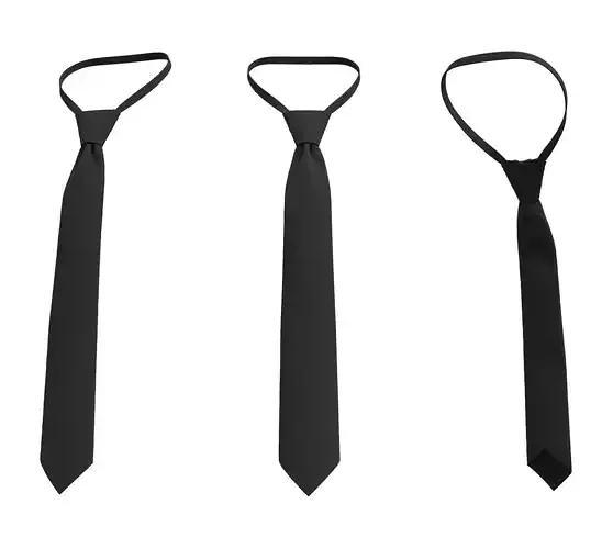 Tie V1 - Marvelous Designer 3D model