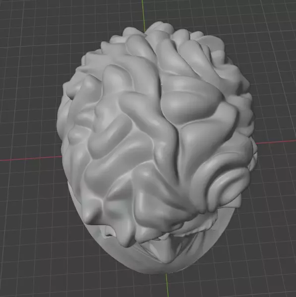 Diego Maradona 3D print model_25