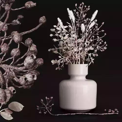 bouquet Dry flowers 02