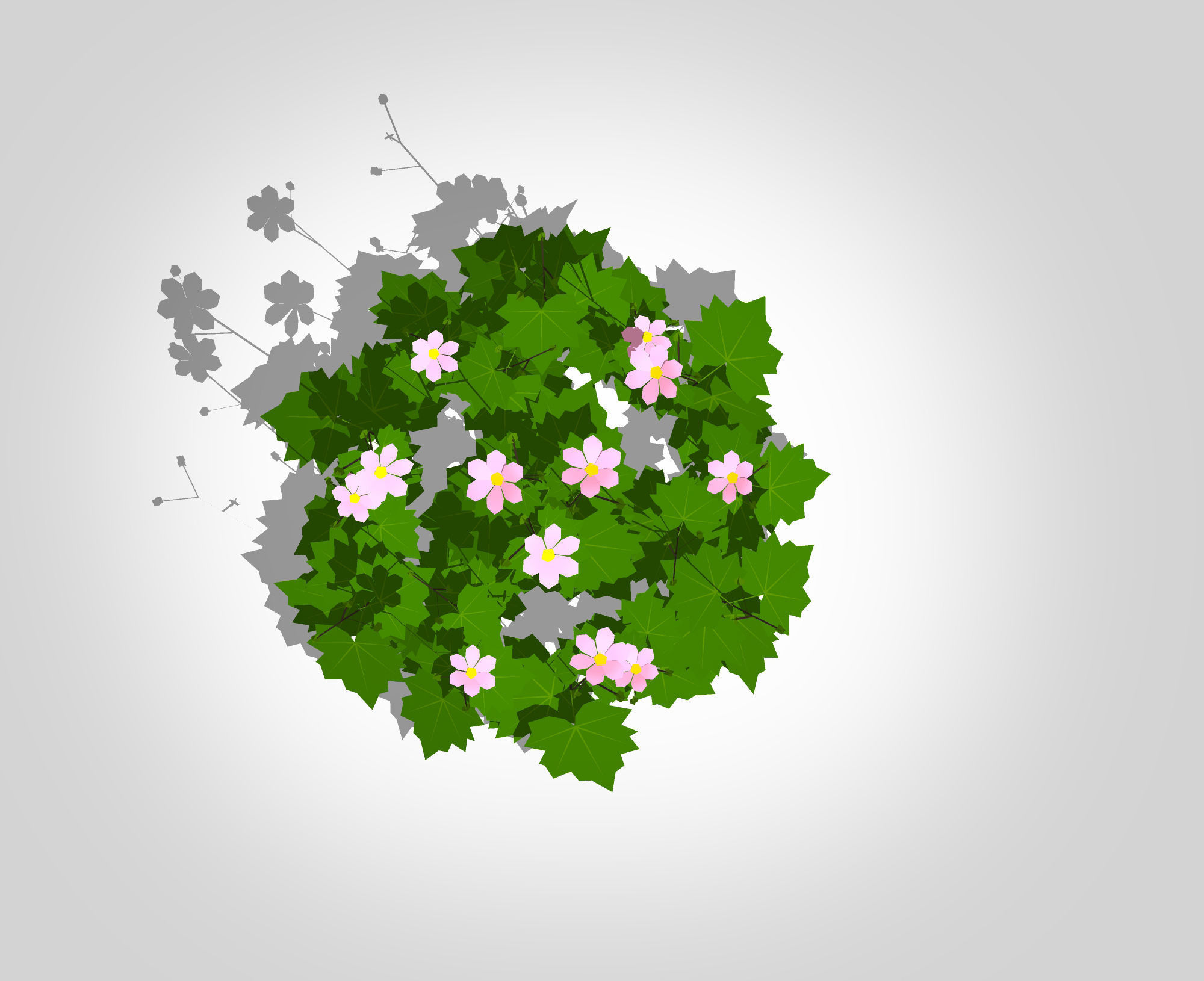 Plant Anemone hybrida - Pink Anemone Low-poly 3D model_4