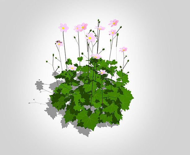 Plant Anemone hybrida - Pink Anemone Low-poly 3D model