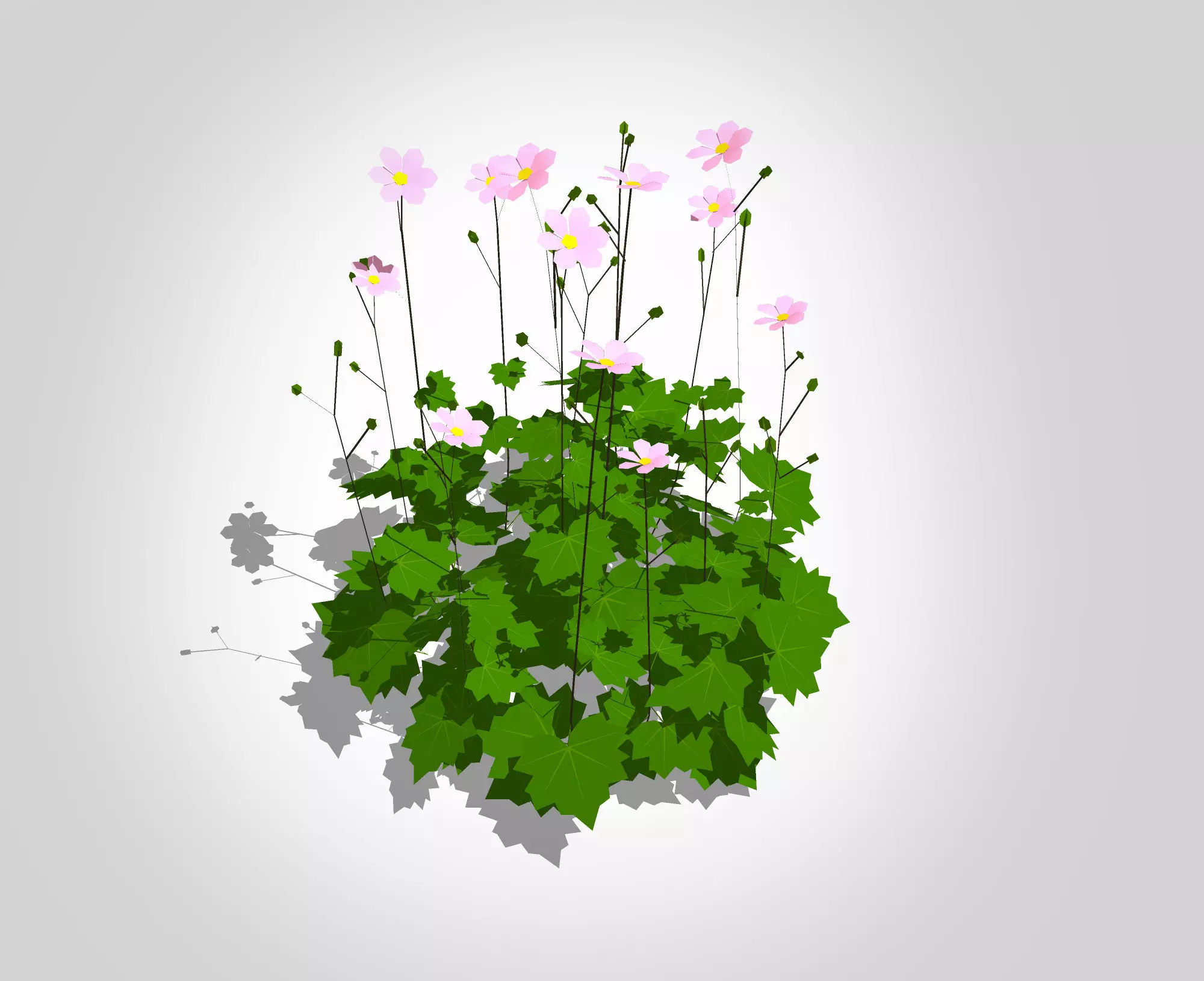 Plant Anemone hybrida - Pink Anemone Low-poly 3D model_0