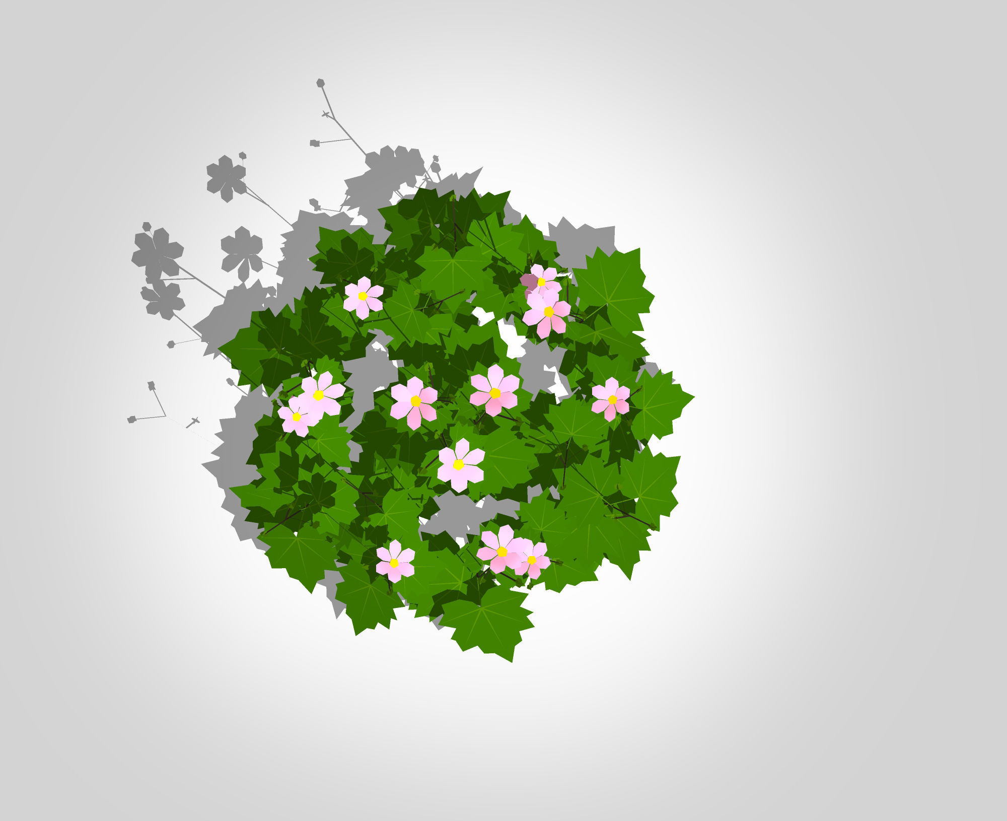 Plant Anemone hybrida - Pink Anemone Low-poly 3D model_2