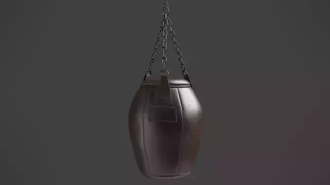 Punching Bag 2 3D model