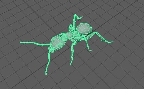 Ant 3D model fbx 3D model_1