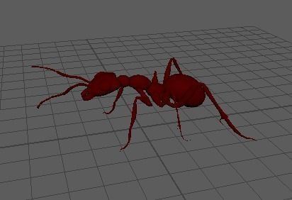 Ant 3D model fbx 3D model_2