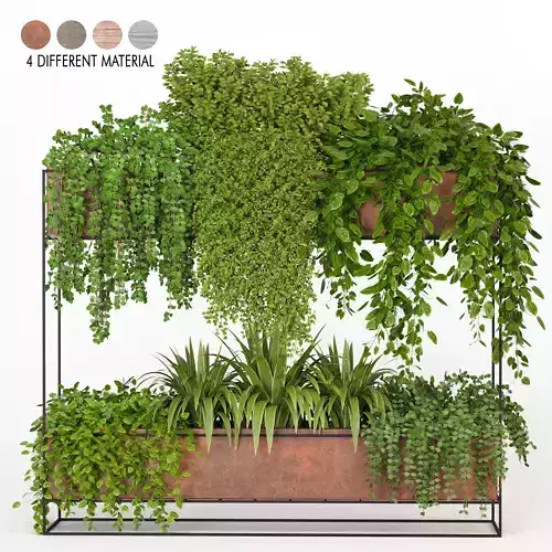 Indoor Hanging Plants - Set 02