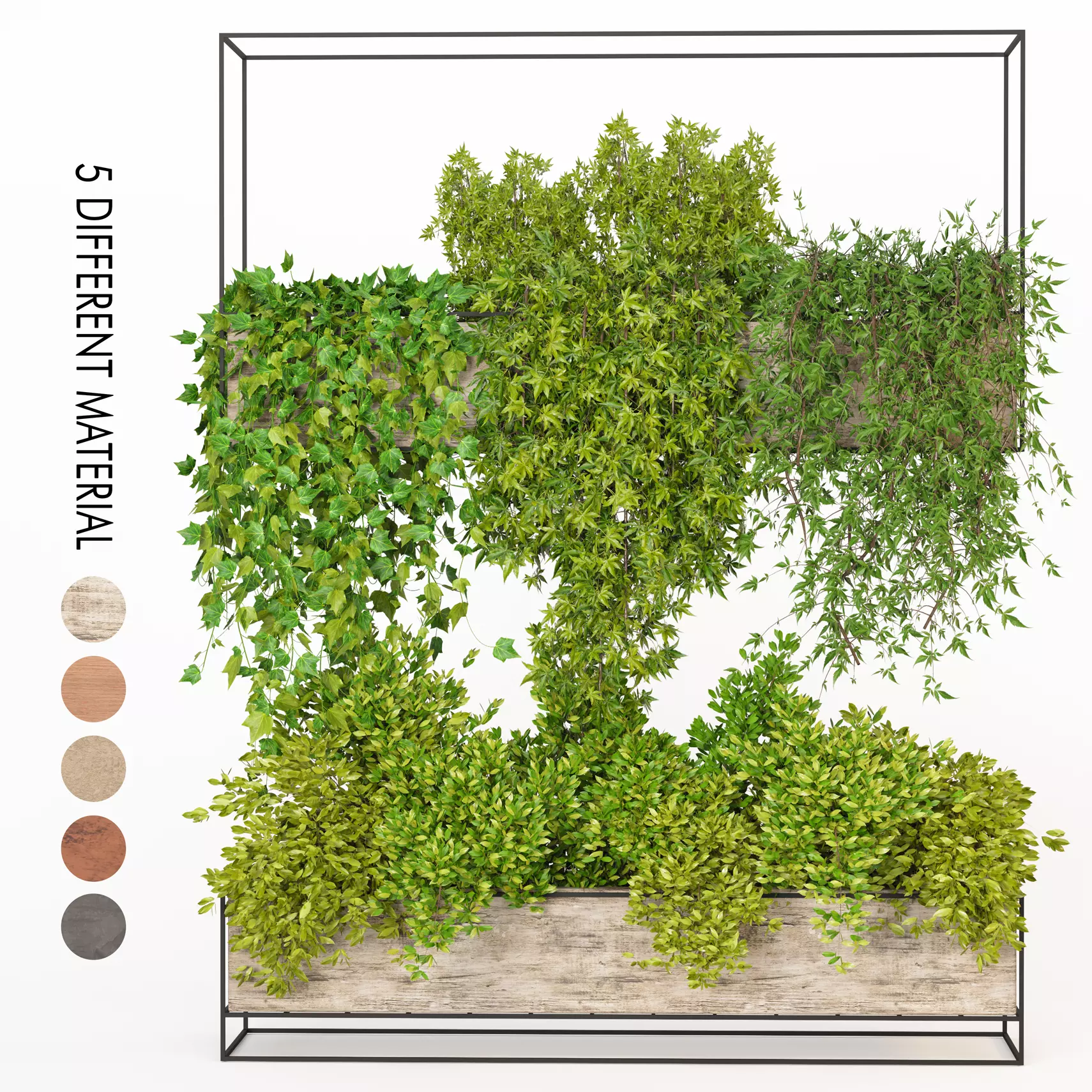 Indoor Hanging Plants - Set 03 3D model_0