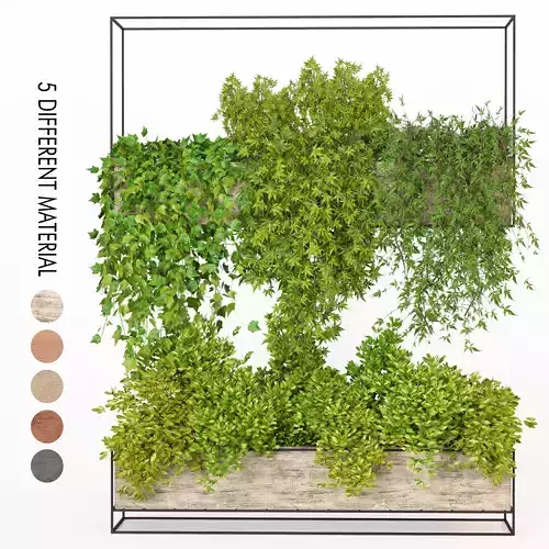 Indoor Hanging Plants - Set 03