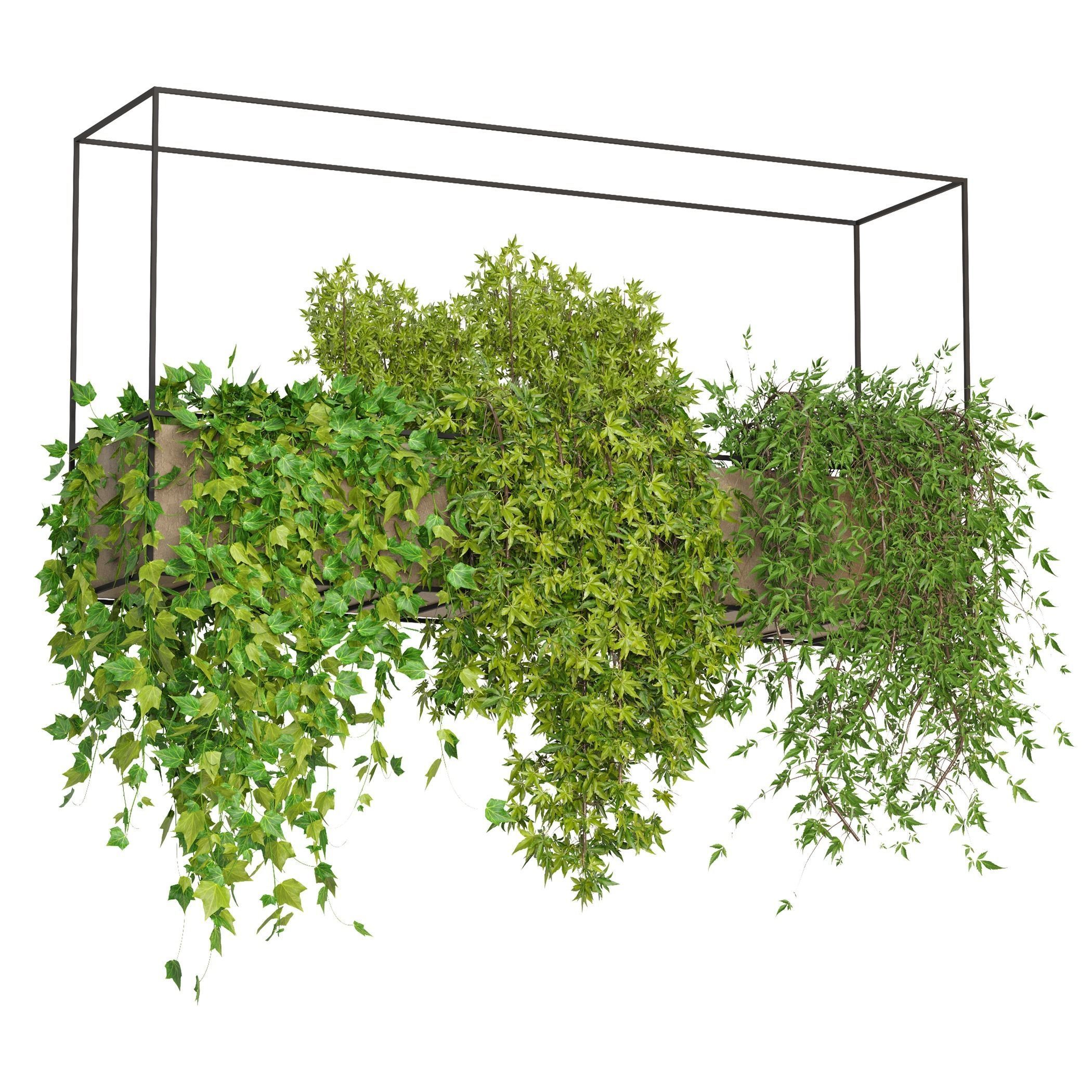 Indoor Hanging Plants - Set 03 3D model_2