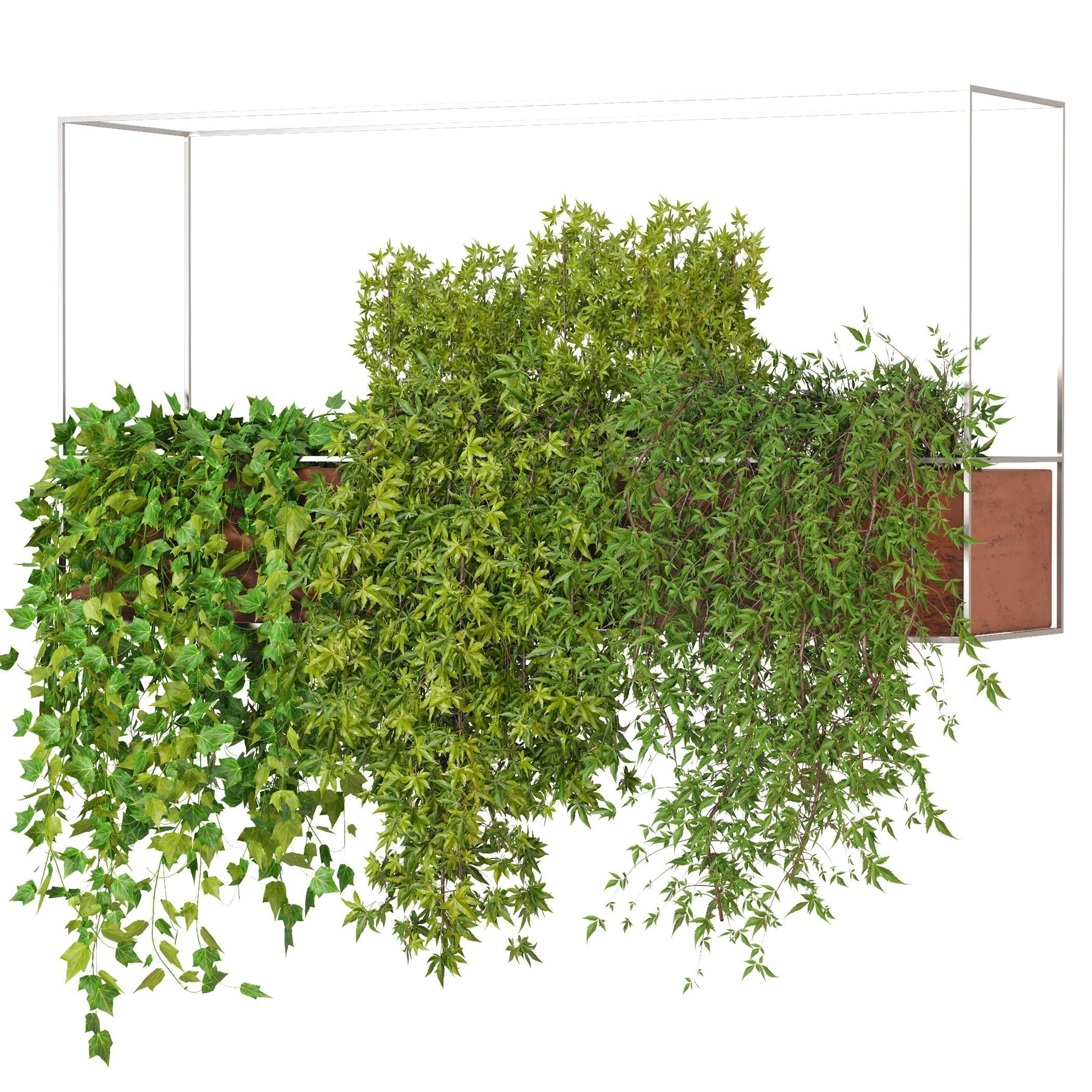 Indoor Hanging Plants - Set 03 3D model_3