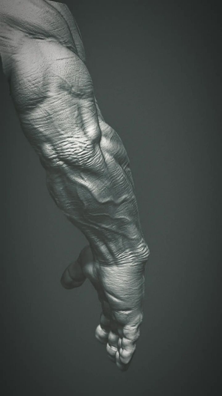 Hand 3D Model Low-poly 3D model_11